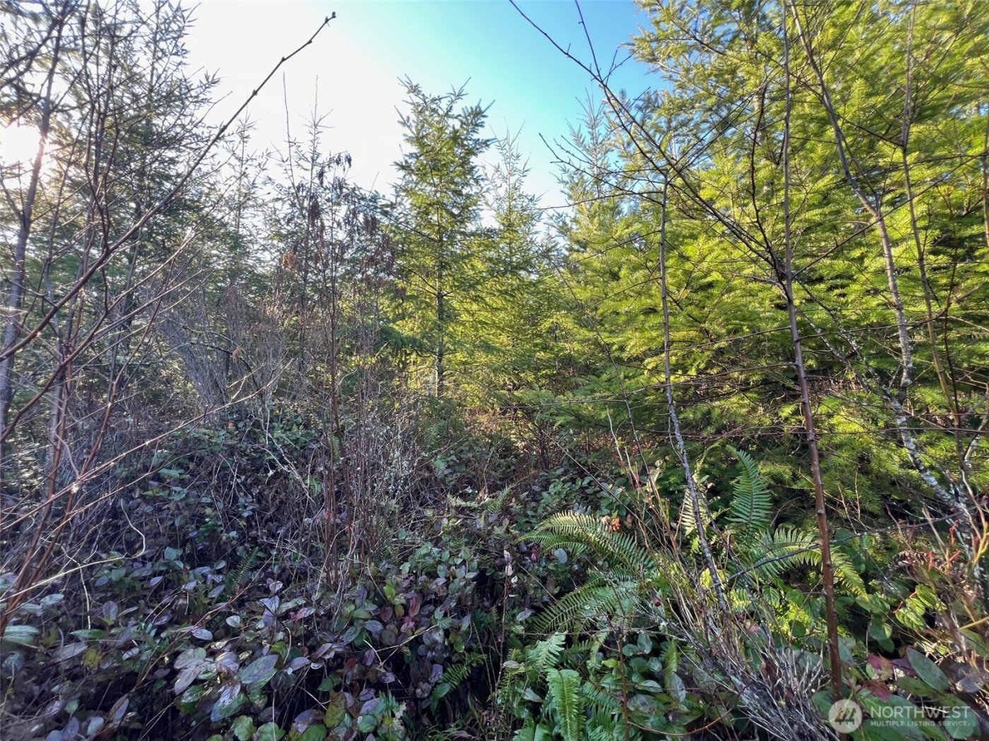 0 Winter Road , Winlock, WA 98596