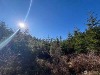 0 Winter Road , Winlock, WA 98596 - Photo 8