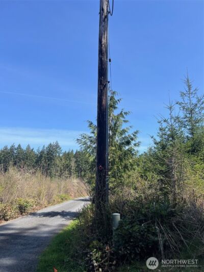 0 Winter Road , Winlock, WA 98596 - Photo 9