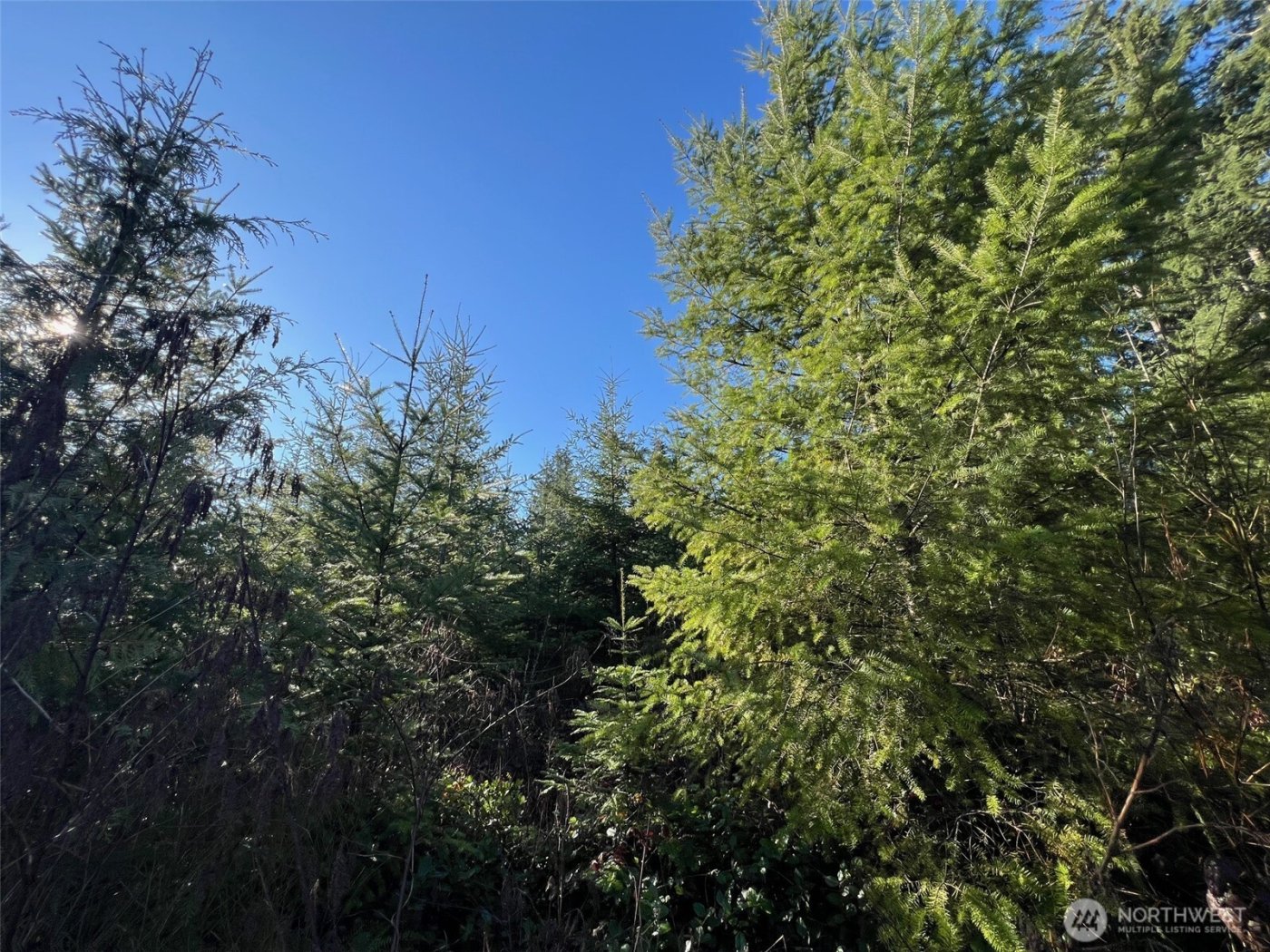 0 Winter Road , Winlock, WA 98596