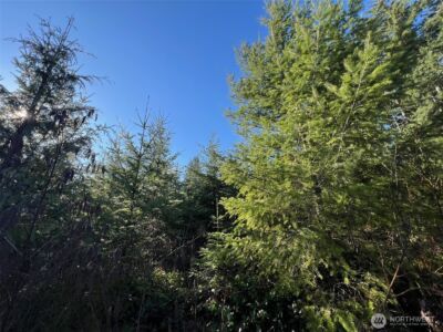 0 Winter Road , Winlock, WA 98596 - Photo 10