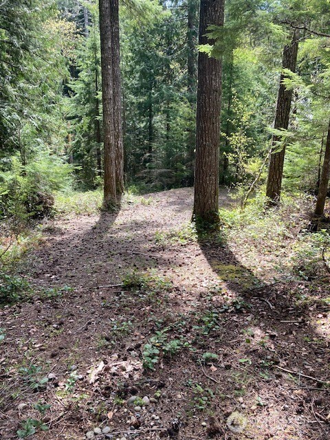 410 N Mount Seattle Way , Hoodsport, WA 98548