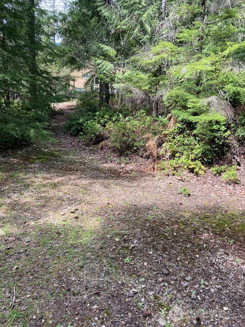 410 N Mount Seattle Way , Hoodsport, WA 98548