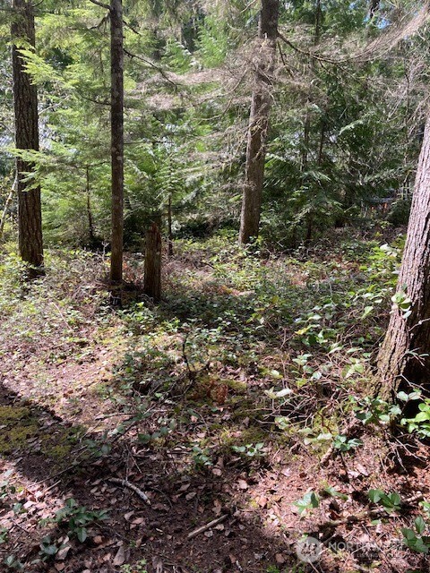 410 N Mount Seattle Way , Hoodsport, WA 98548