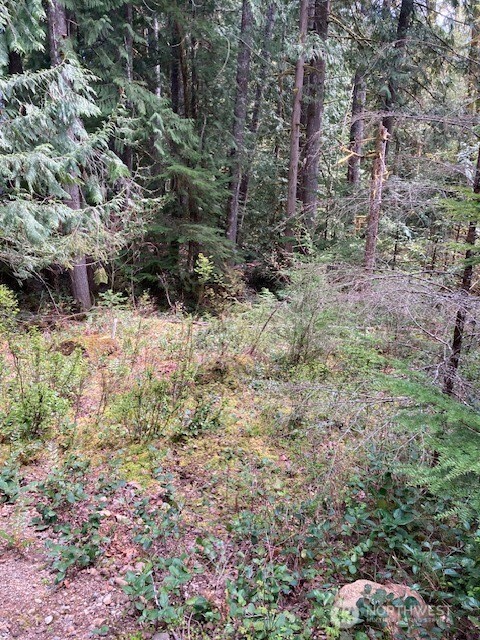 410 N Mount Seattle Way , Hoodsport, WA 98548