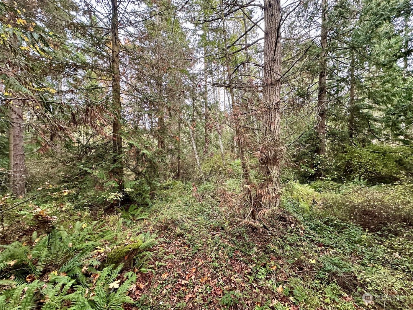 0 S Bagley Creek Road , Port Angeles, WA 98362