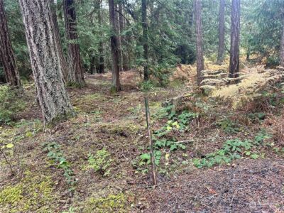 0 S Bagley Creek Road , Port Angeles, WA 98362 - Photo 17