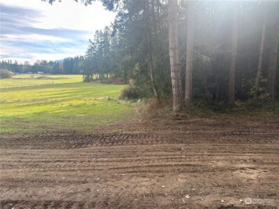 0 S Bagley Creek Road , Port Angeles, WA 98362 - Photo 19