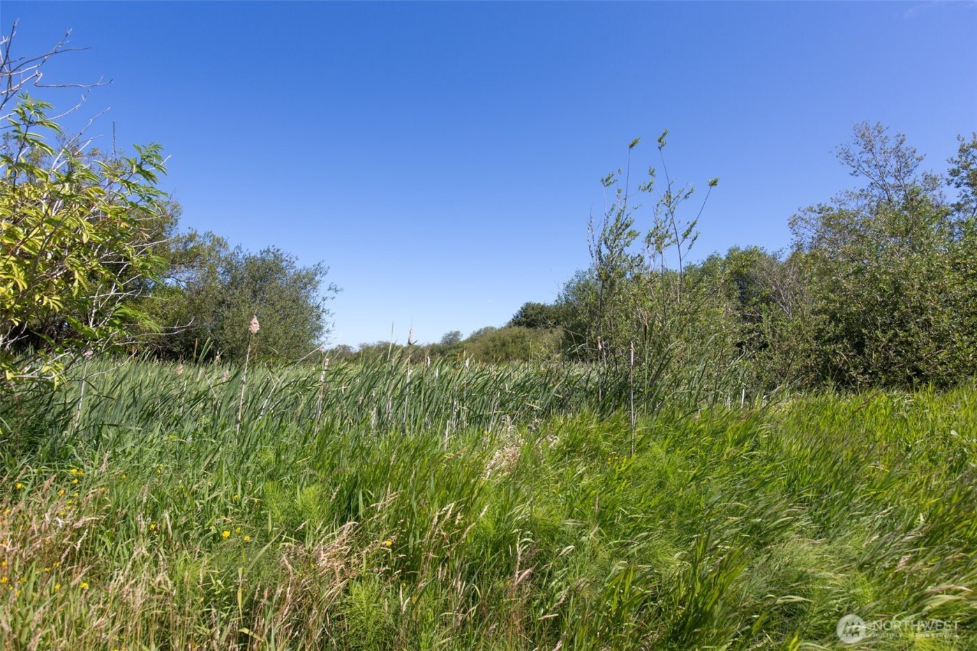 0 Buttercup Lane , Sequim, WA 98382