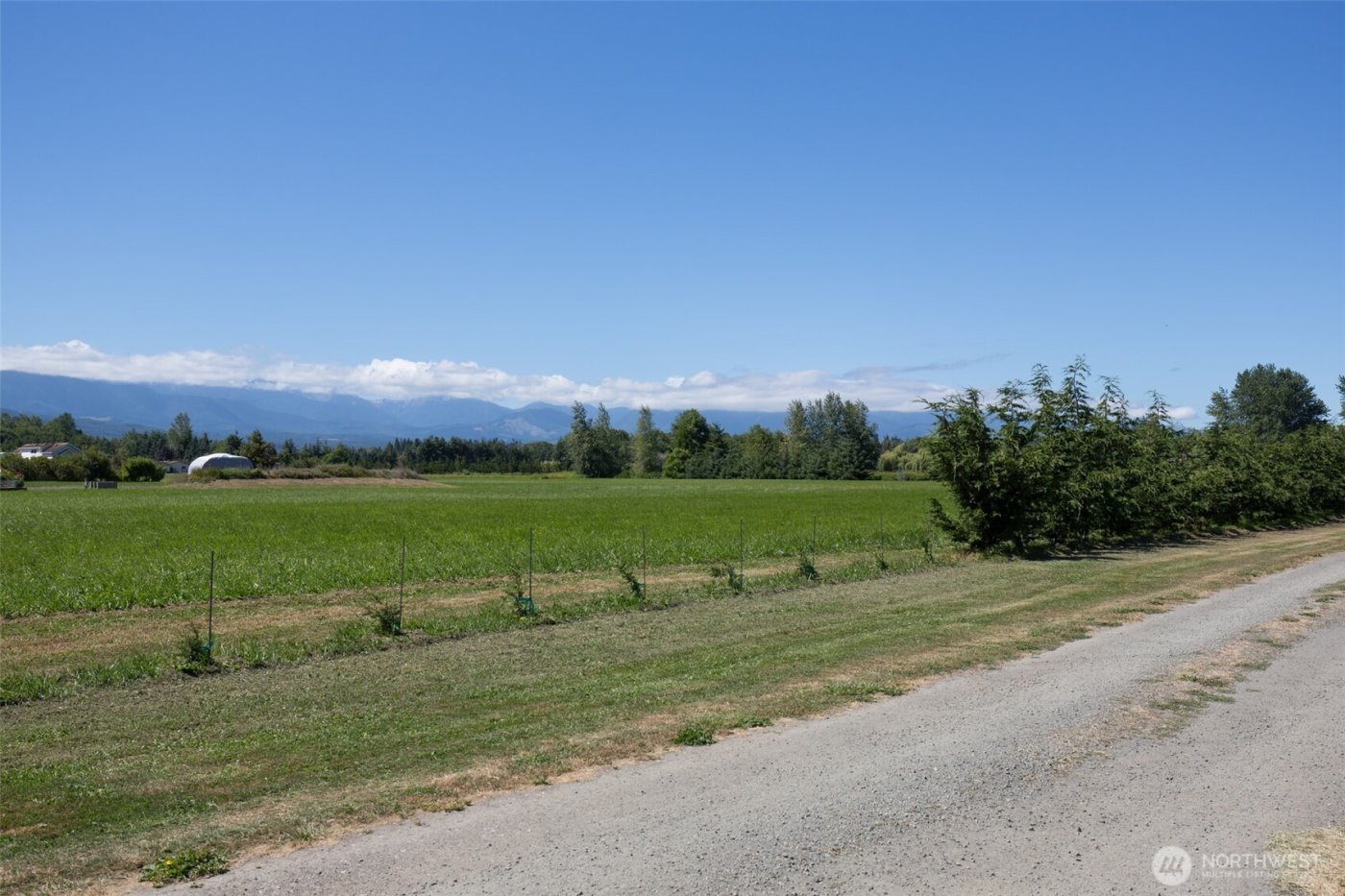 0 Buttercup Lane , Sequim, WA 98382