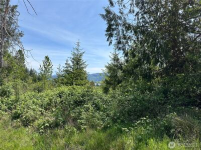 0 Maple Ridge Rd , Cathlamet, WA 98612