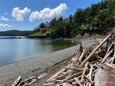 0 Main Street S, Orcas Island, WA 98245 - Photo 19