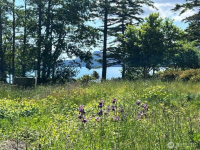 0 Main Street S, Orcas Island, WA 98245 - Photo 10