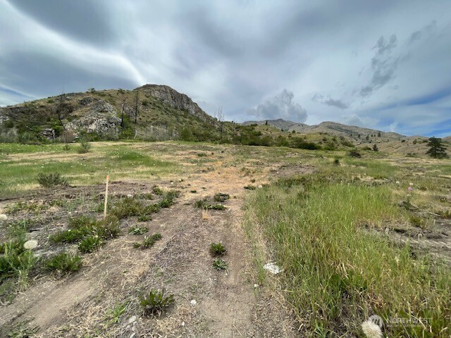 0 Lot 4 Black Canyon Road , Pateros, WA 98846