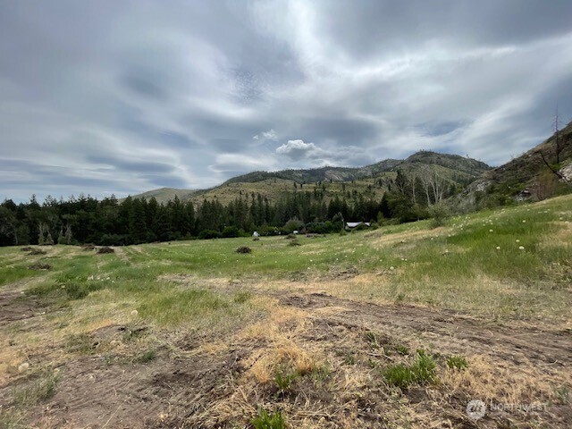 0 Lot 4 Black Canyon Road , Pateros, WA 98846