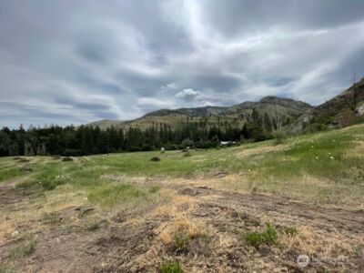 0 Lot 4 Black Canyon Road , Pateros, WA 98846 - Photo 13