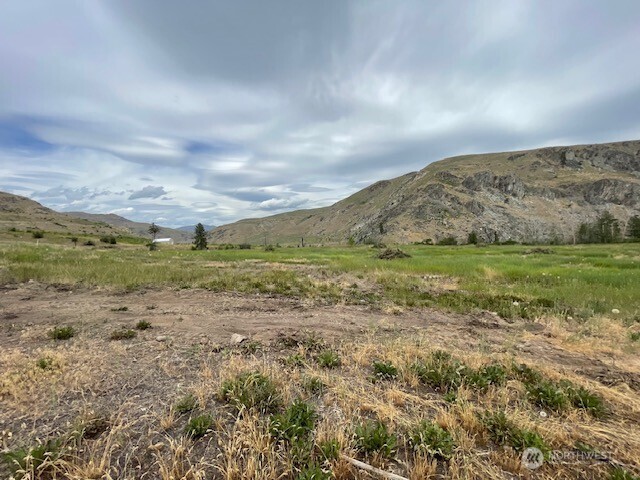 0 Lot 4 Black Canyon Road , Pateros, WA 98846