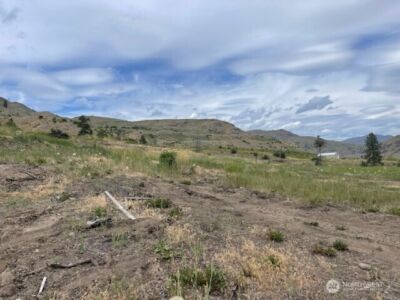 0 Lot 4 Black Canyon Road , Pateros, WA 98846 - Photo 6