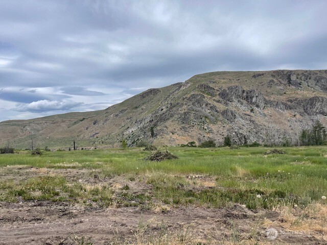 0 Lot 4 Black Canyon Road , Pateros, WA 98846