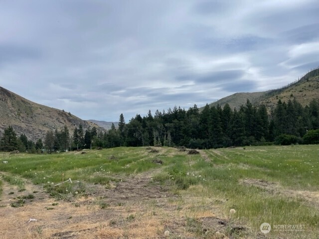 0 Lot 4 Black Canyon Road , Pateros, WA 98846