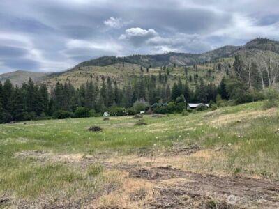 0 Lot 4 Black Canyon Road , Pateros, WA 98846 - Photo 9