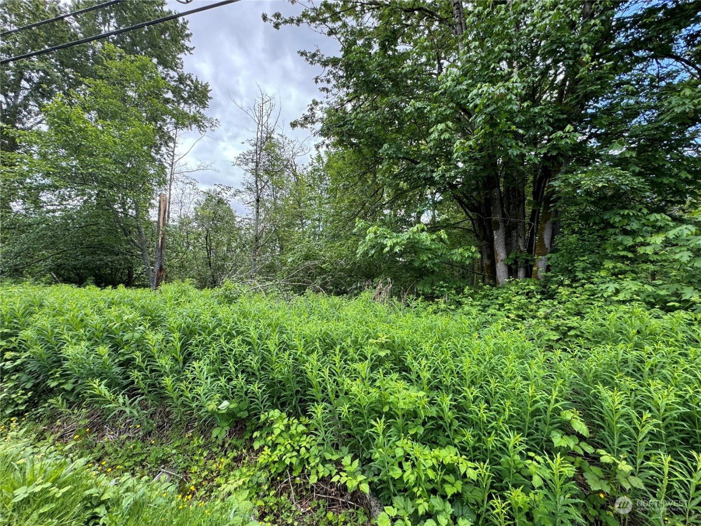 1410 169th Place SW, Lynnwood, WA 98037