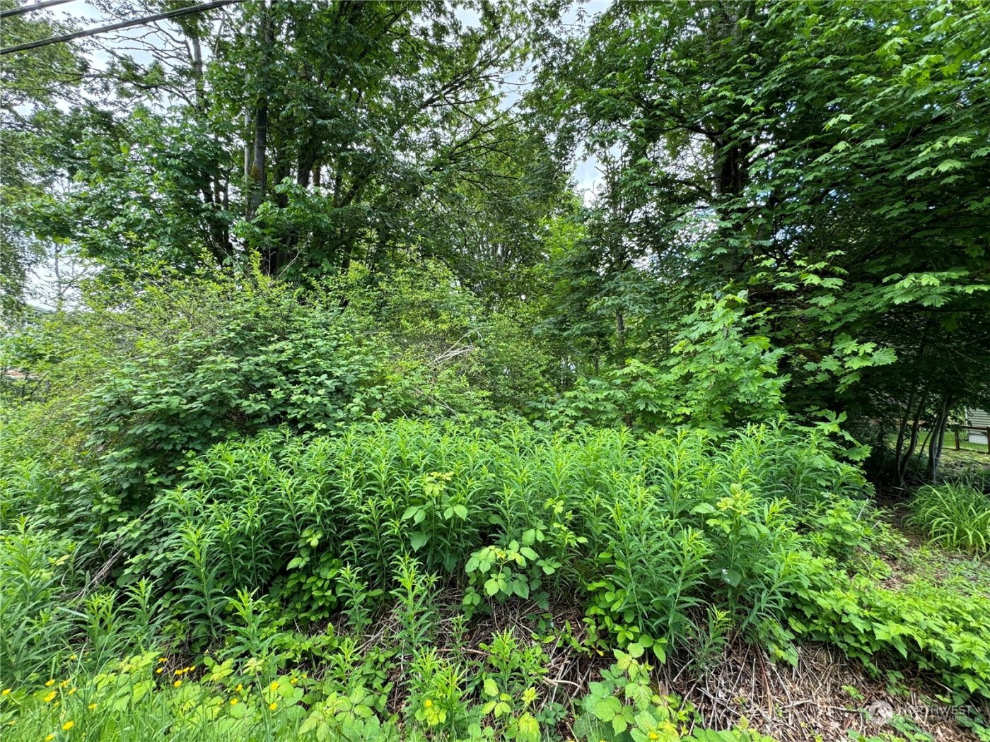 1410 169th Place SW, Lynnwood, WA 98037