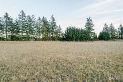 0 Knowles Road , Toledo, WA 98596 - Photo 10