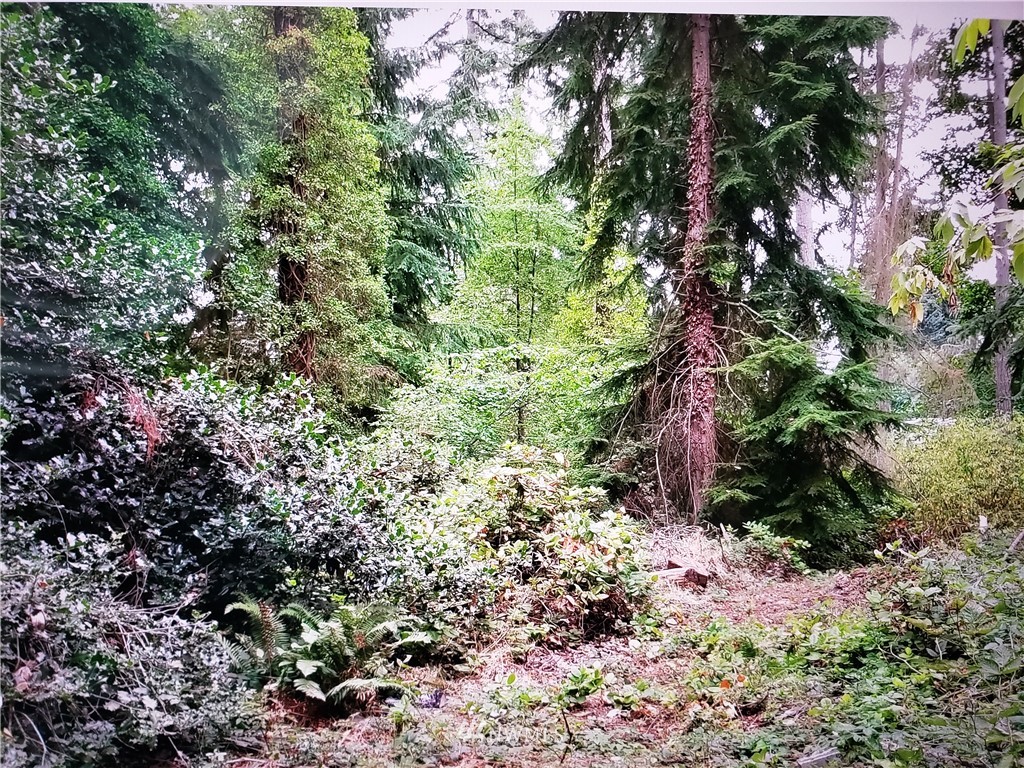 317 xx 51st Avenue SW, Federal Way, WA 98023