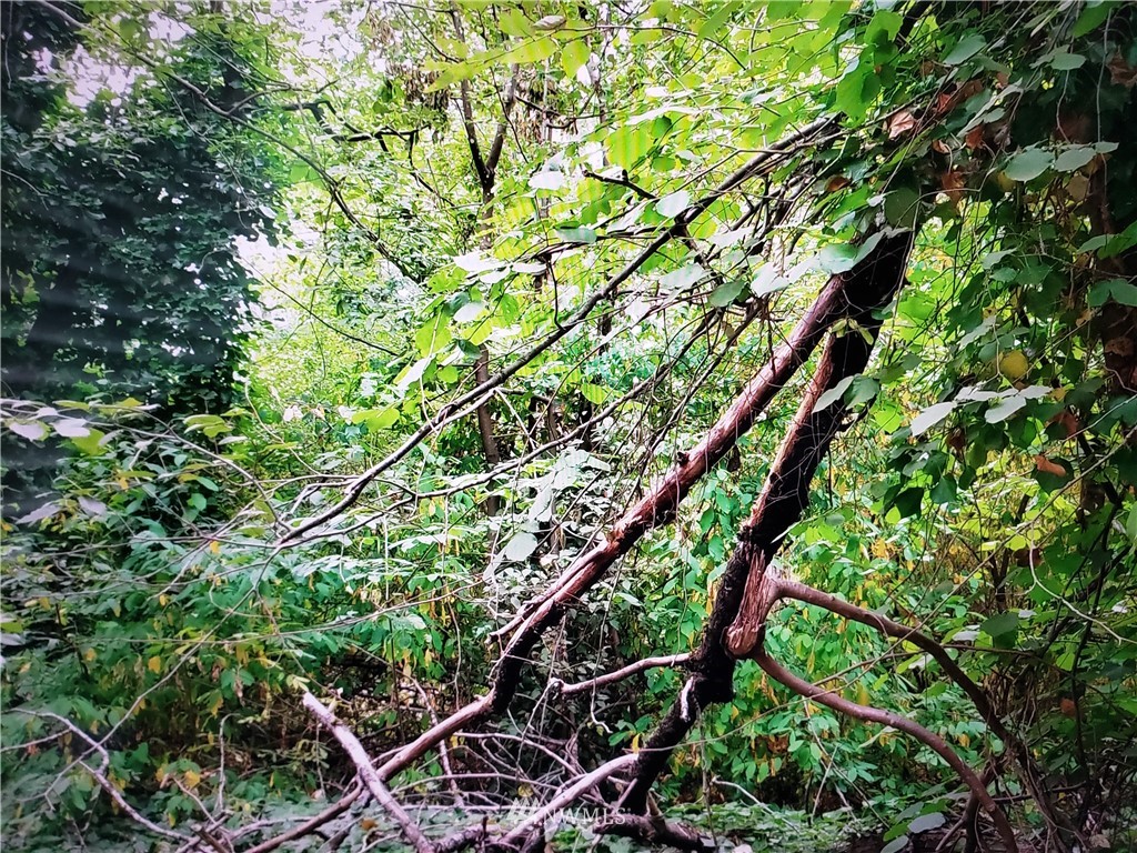 317 xx 51st Avenue SW, Federal Way, WA 98023