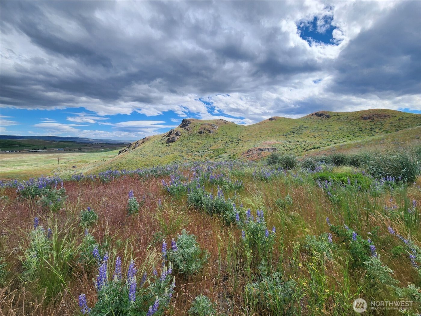 0 Old Hwy 97 , Brewster, WA 98812