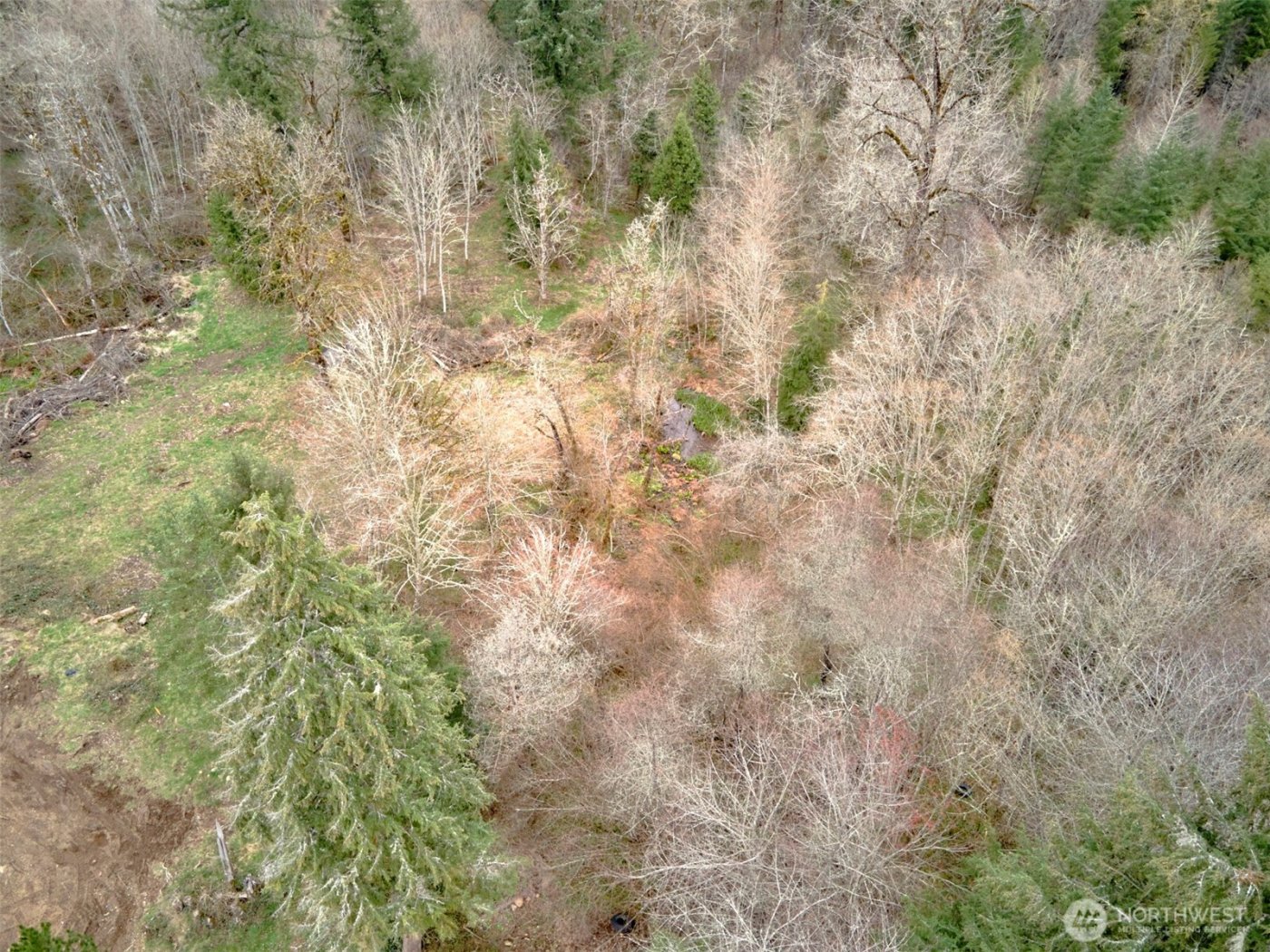 13500 NE 406th Street , Amboy, WA 98601