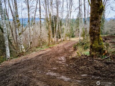 13500 NE 406th Street , Amboy, WA 98601 - Photo 19