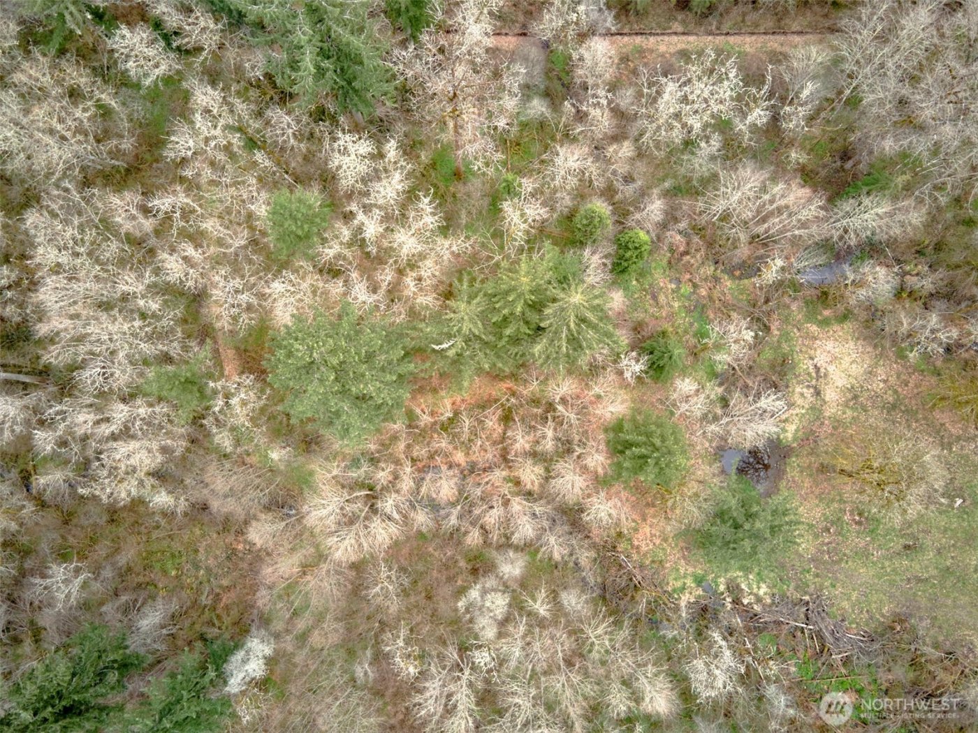 13500 NE 406th Street , Amboy, WA 98601