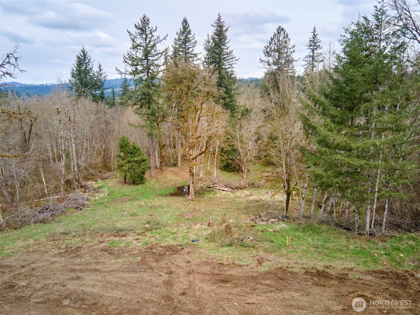 13500 NE 406th Street , Amboy, WA 98601