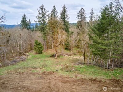 13500 NE 406th Street , Amboy, WA 98601 - Photo 25