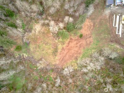 13500 NE 406th Street , Amboy, WA 98601 - Photo 5