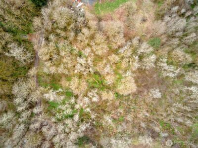 13500 NE 406th Street , Amboy, WA 98601 - Photo 9