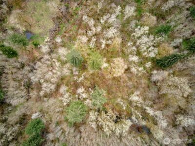 13500 NE 406th Street , Amboy, WA 98601 - Photo 10