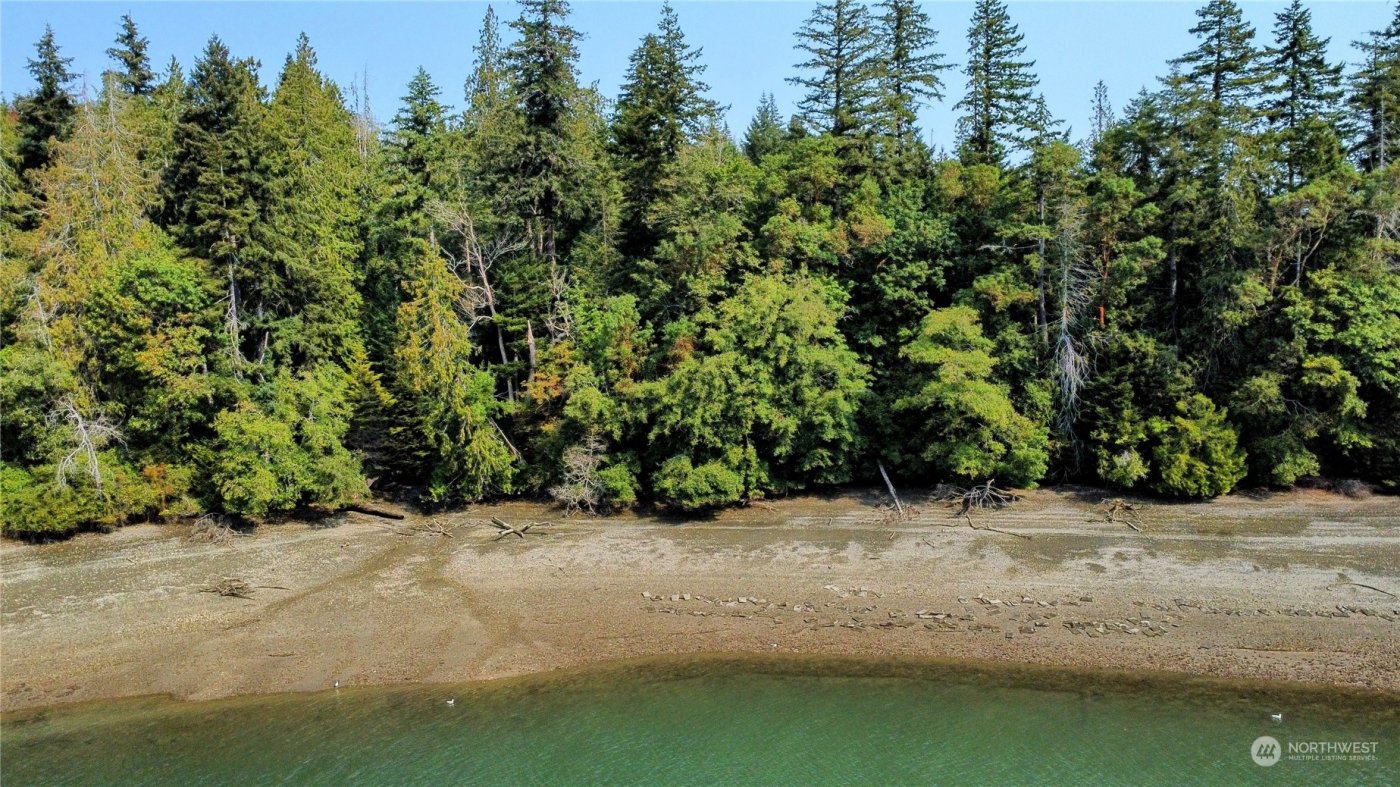 0 SE Paulcyn Lane , Shelton, WA 98584