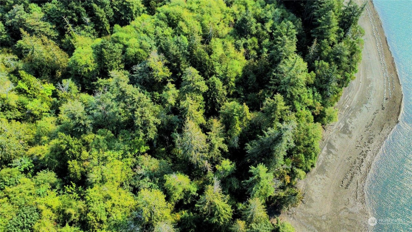 0 SE Paulcyn Lane , Shelton, WA 98584