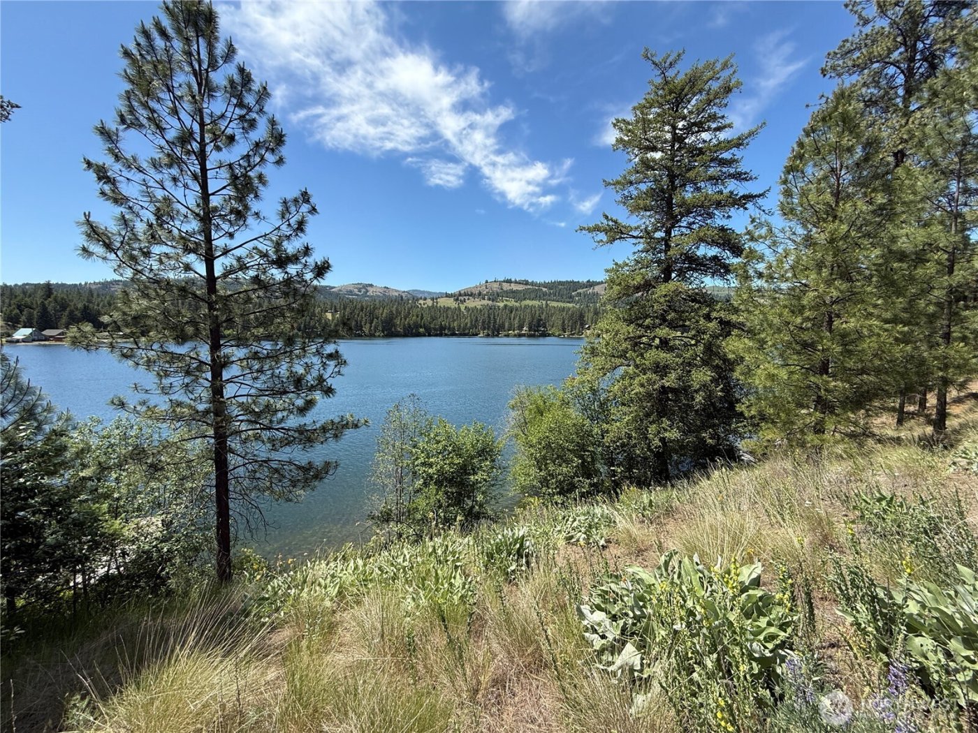 0 Dollar Bar Beach Road , Republic, WA 99166