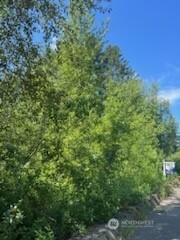 31 xxx NE Lilly Road NE, Olympia, WA 98506