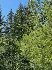 31 xxx NE Lilly Road NE, Olympia, WA 98506