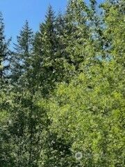 31 xxx NE Lilly Road NE, Olympia, WA 98506 - Photo 3