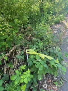 31 xxx NE Lilly Road NE, Olympia, WA 98506