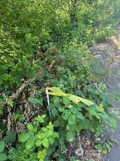 31 xxx NE Lilly Road NE, Olympia, WA 98506 - Photo 5