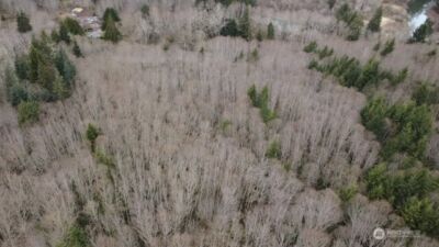 733 State Route 107 Highway , Montesano, WA 98563