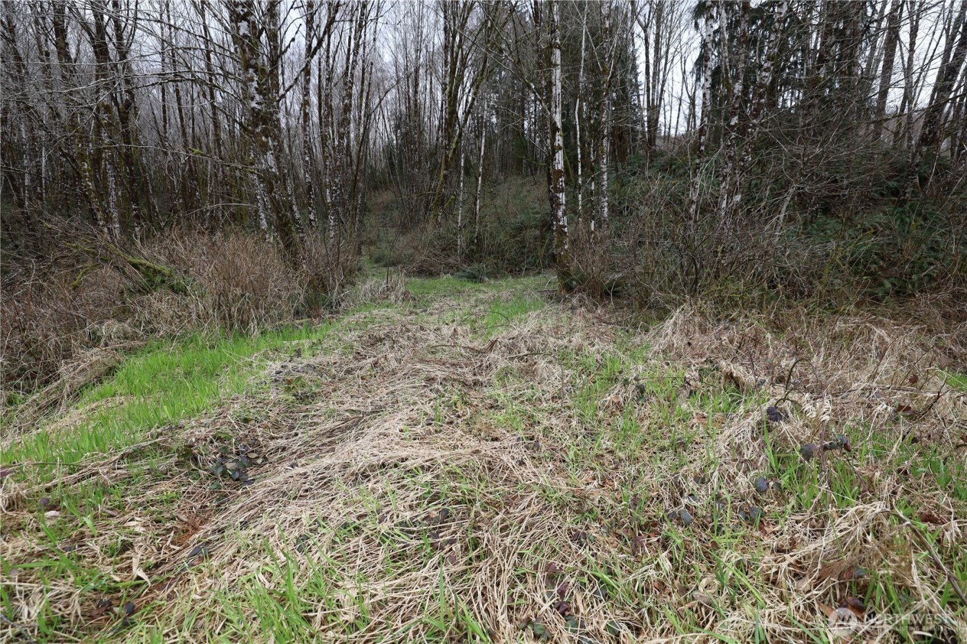 733 State Route 107 Highway , Montesano, WA 98563