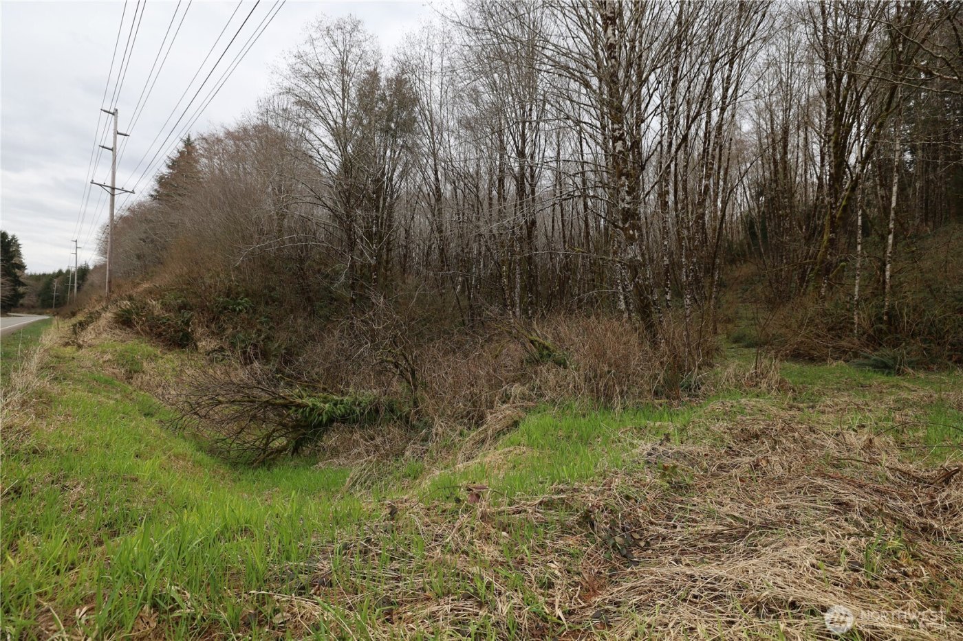 733 State Route 107 Highway , Montesano, WA 98563